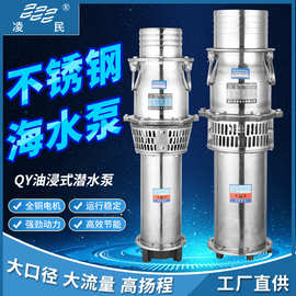 QY不锈钢海水泵养殖场鱼塘灌溉潜水泵304耐腐蚀大流量船用油浸泵
