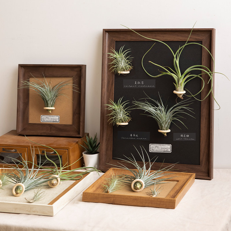 Air Plant Retro High-End Photo Frame Empty Frame Display Stand American-Style Vintage Square Picture Frame Digital Oil Painting