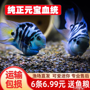 �����W�^�~���w�~С�͵�ˮ�Ꭷ�^�p�~�������������{�׽�ֳ�N�~