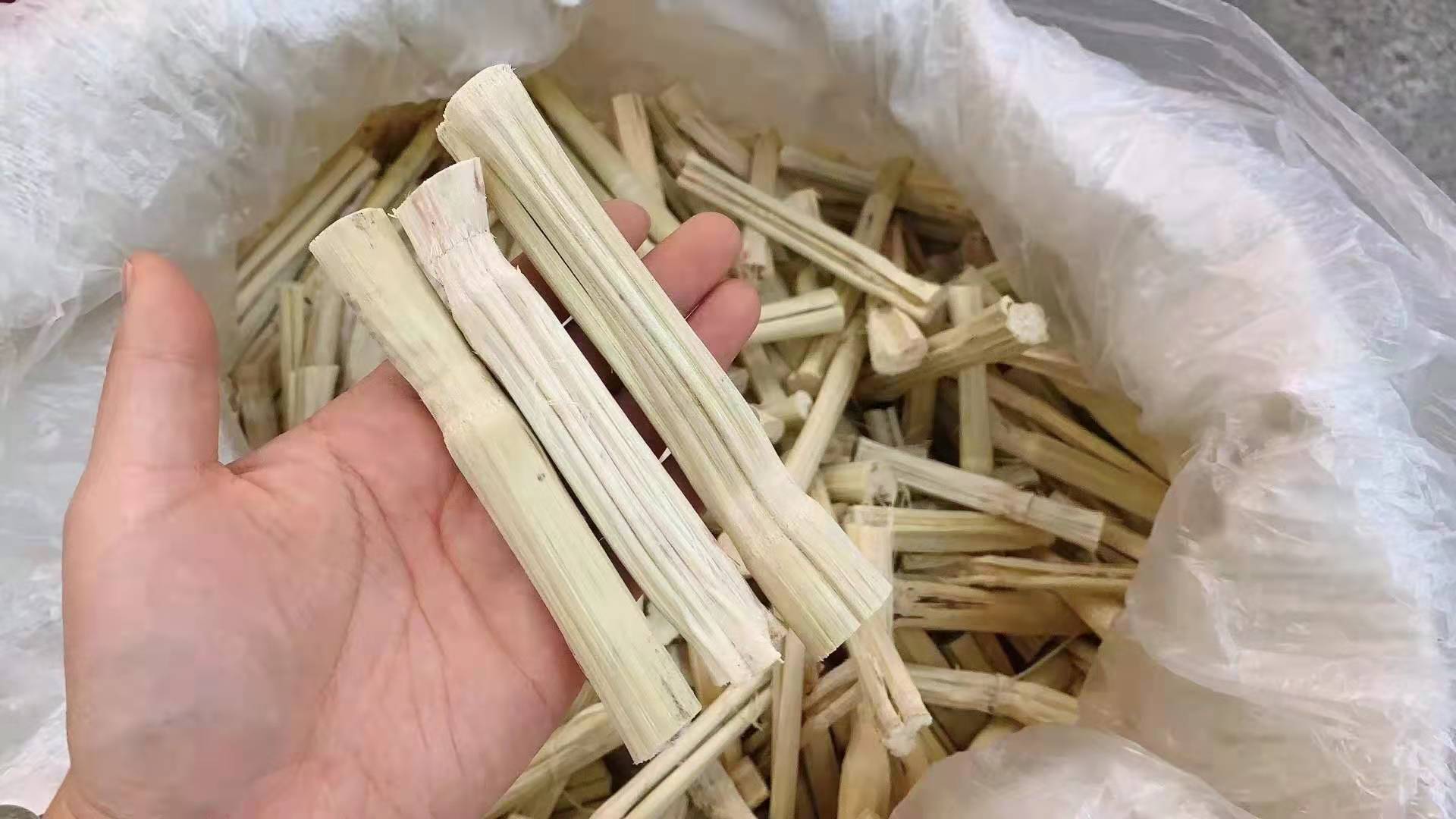 Dried Bamboo Cane Slices (Saccharum officinarum) — Sweet Cane Herb for Soup & Sweet Soup in use