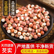 �͌���؛500g��؛��Ѭ���͌�Ƿ���V�|�ؑc�u�^�״Č����мt��޲��