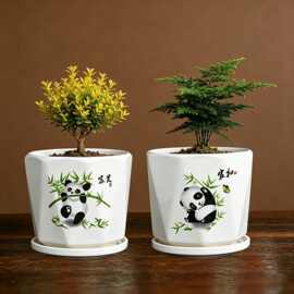 新中式创意个性陶瓷简约花盆多肉植物专用桌面摆件室内阳台盆栽盆