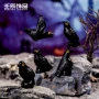实色景观桌面气氛乌鸦