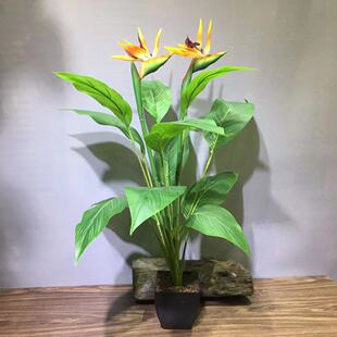 WLֲB辰GֲҾӹQm˽˽