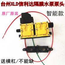 ̨��XLD�����_��Ĥˮ�ñ��^��� 12V�p��늄Ӈ��F�������R�_�^��