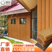 ABA护墙板 PVC木塑WPC酒店景区度假村外墙面造型装饰共挤塑木墙板