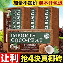 Ҭ�u�I�B��Ҭ����Ҭ����Ҭ��Ó�}Ү����K�B���N��ͨ�������l