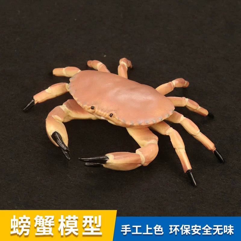Realistic marine plastic cognitive minifigure, simulation modeling for children, bread