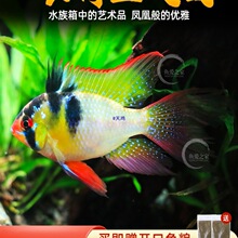 �Lβ���m�P�����~�������~���������_�~��С�͟Ꭷ�^�p�~���