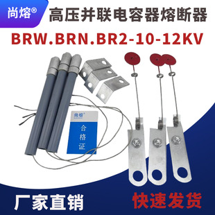 High voltage shunt fuse capacitor protector BR2-BRW-BRN-10A12KV/30A40A60A100A150