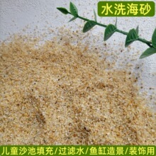 批发海砂20-40目儿童娱乐沙滩沙水族鱼缸造景水洗海沙水处理砂
