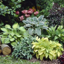 ����M؛ �����N���ͺ���ꎶ������񴺰����Q�����ݻ����N����