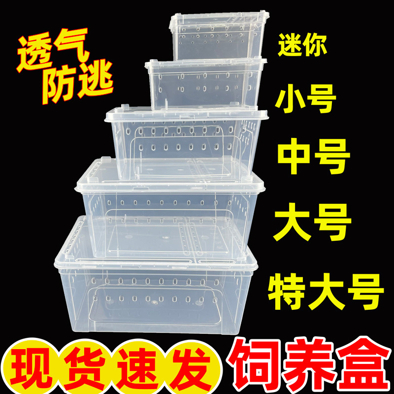 Reptile Breeding Box, Horned Frog, Hermit Crab, Crab, Lizard, Reptile Pet Box with Lid to Prevent Escape, Turtle Hibernation Box