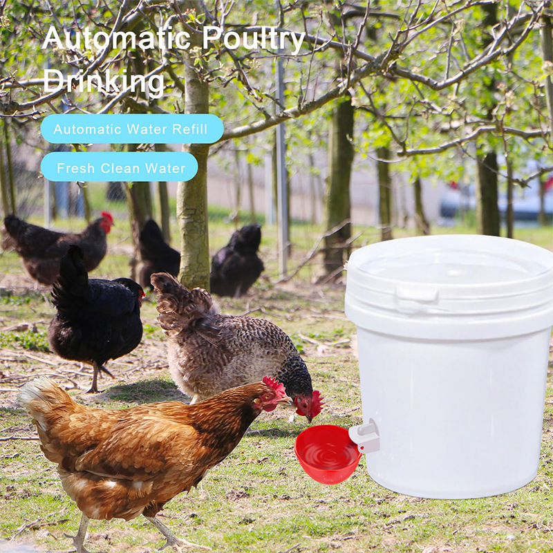 Tazón para beber para pollo transfronterizo Tazón para beber Pollo Beber para aves de corral Nueva fábrica de bebederos automáticos para pollos, patos y gansos