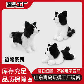 跨境可爱边牧轻纺真桌面摆件毛绒玩偶边境牧羊犬毛绒公仔毛绒玩具
