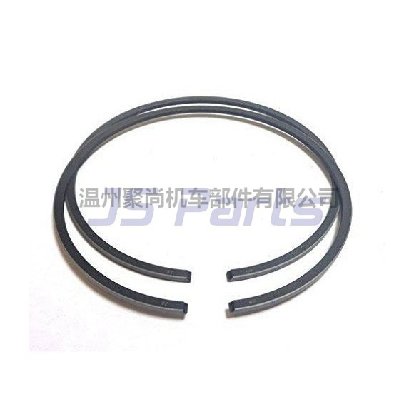 6J1-11610-00-00 活塞环