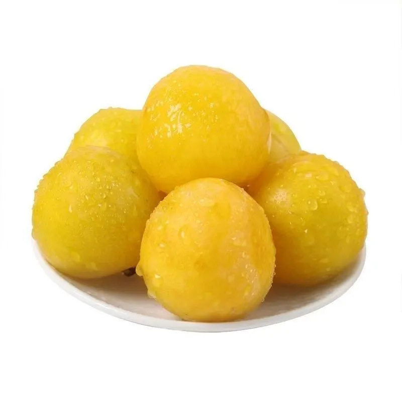 Fresh Fruits from Sichuan Peach Blossom Plum Region, Golden Plums with Free Shipping, Candied Plums, One-Piece Drop Shipping Fresh Fruits from Sichuan Peach Blossom Plum Region, Golden Plums with Free Shipping, Candied Plums, One-Piece Drop Shipping