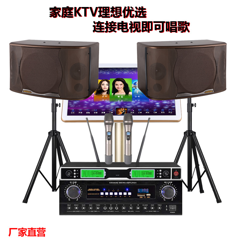 Altavoz de karaoke SK-100V individual de 10 pulgadas, sistema de audio profesional para KTV, granja, villa, cine en casa, conjunto para conferencias