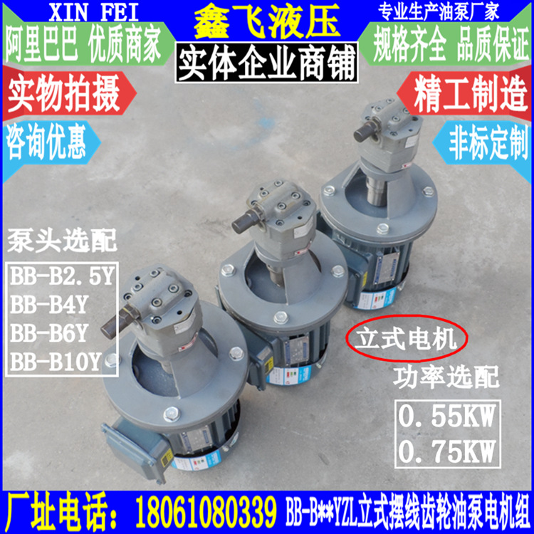 BB-B2.5YZL B4YZL B6YZL B10YZL立式摆线齿轮油泵电机组YE2-801-4