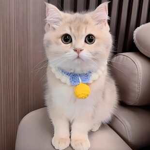 ؈������ֹ�������ˮ��o��K�����Ȧ��؈����С���ɐۇ���