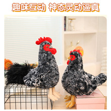 仿真鸡卡通毛绒玩具公仔呆萌可爱绒布大公鸡抱枕可爱公仔生日礼物