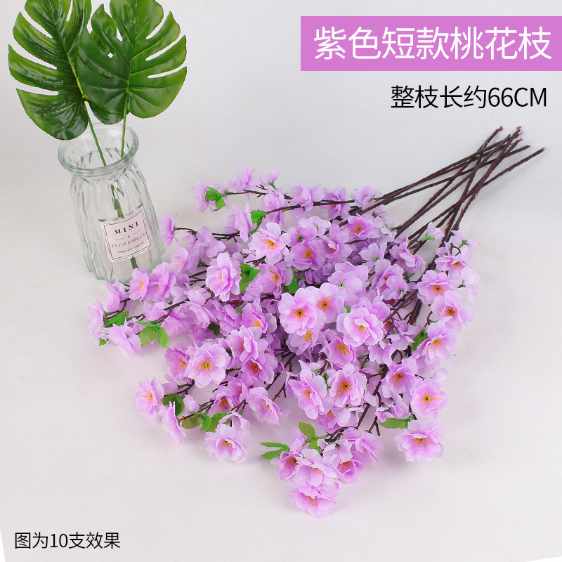 보라색 짧은 복숭아 꽃 지점