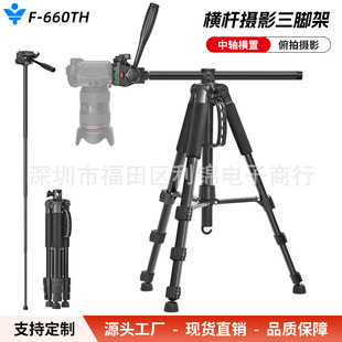 ֱ����֧�����C���_��