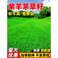 �ļ���������é���Ѳ�ƺ�N�Ӹ���é�����ͺ��o�¹���ͥԺ�G���N��