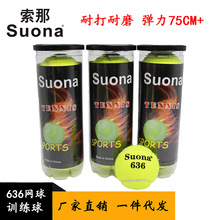 现货批发专用训练网球比赛耐打橡胶毛呢化纤无压桶装网球厂家直销