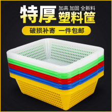�Ӻ񳤷������Ϸ�ɸ���ò˿�ϴ����ˮ�������������ɿ������߲�