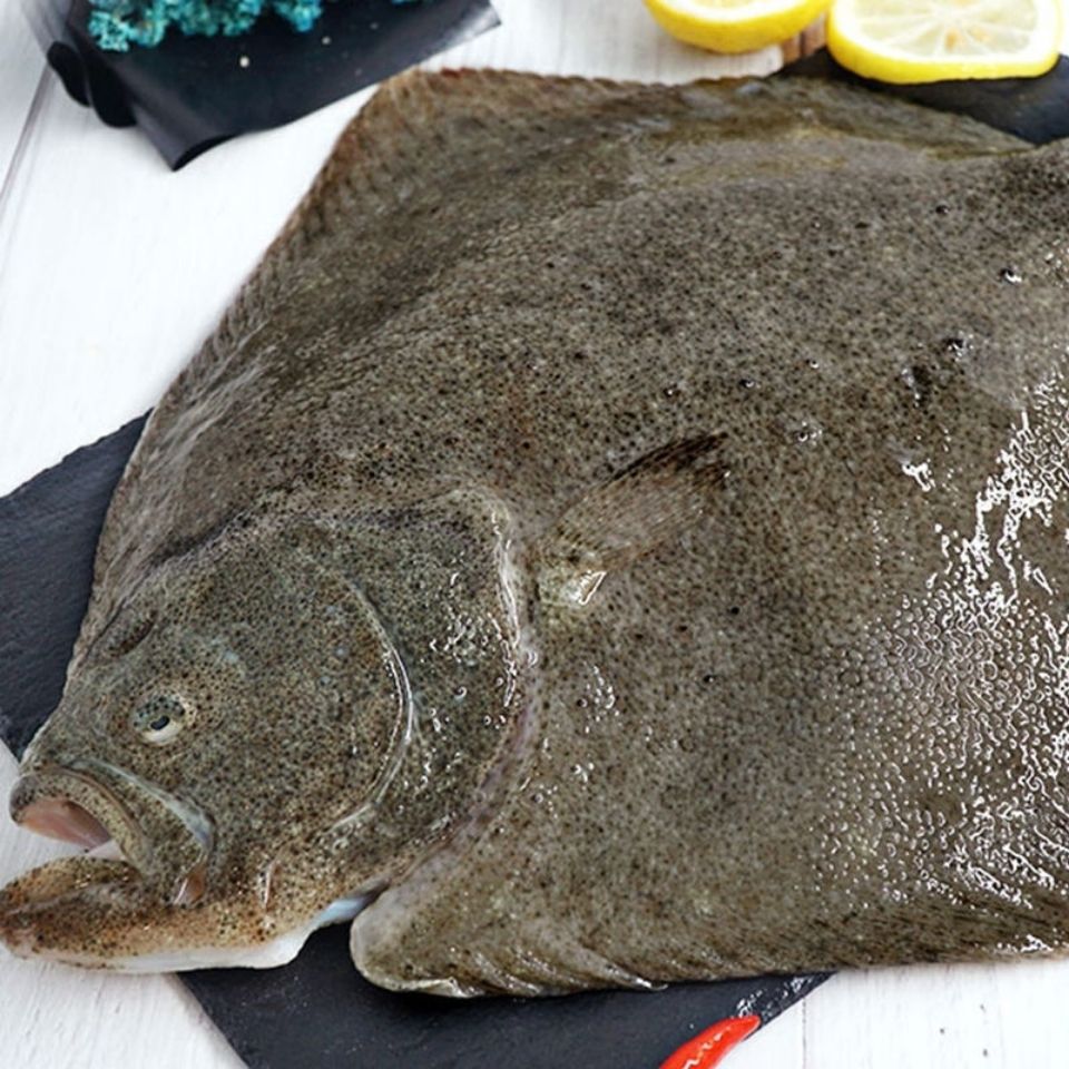 海捕多宝鱼比目鱼冷鲜冷冻海鲜水产商用批发