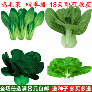 �uë�˲��ѷN���Ϻ���˷N���̨����С�ײ��Ͳ��ļ����R�N�ݴ�ȫ