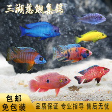 �����������w�Ꭷ�^�p�~С�͵�ˮ�����~�J���R��������Ӻ��B�ͻ�