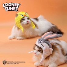 ���昷һͨ�W�t����ë�q�^��С؈��ɐۄ����^����յ�����Y��