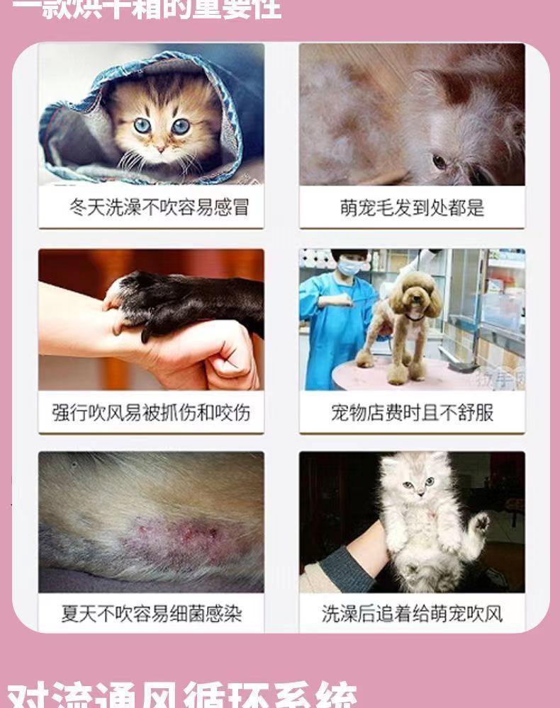 8f0e376b-c914-474c-8222-468e227304f8.jpe