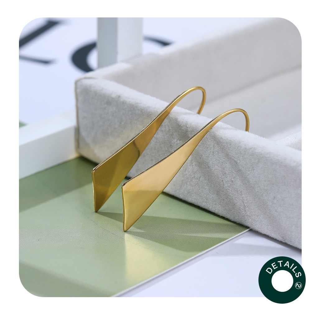 Simple Style Geometric Stainless Steel Plating Drop Earrings 1 Pair
