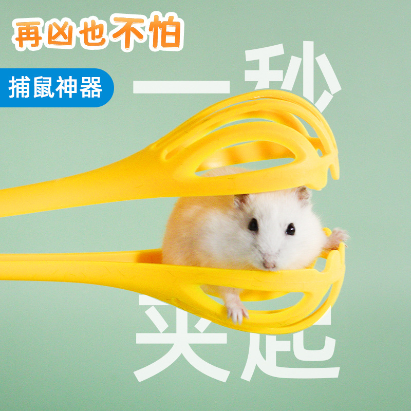 Cage trap for hamsters, mouse trap, hamster trap, golden bear living supplies, interactive anti-bite hand, hamster toy, landscaping