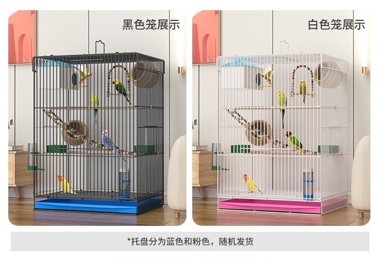 f426cdbd-eb54-4f11-98d3-adff182e11a1.jpe