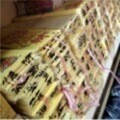 �Ĳ��S���L�l�S�����ּ��S�Ѽ���һ��40�����x53��ϵ�ͷ���Ŀ�