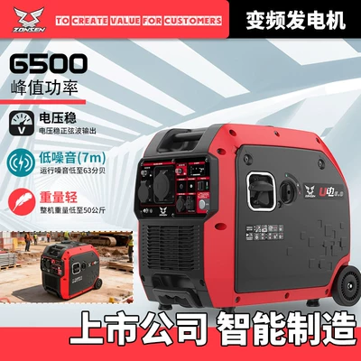 Avtomobil generatorları Connected to European Standard 220V