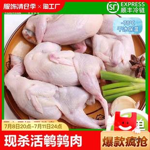 ���r�����̖ĸ�g����F��Ū��ɢ�B�r؛���rʳ��10��S���]����