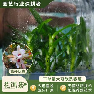 ��ʯ�� 3048 �S�_ƿ���׳ɻ�M��С�� �҃������Ի�������r��
