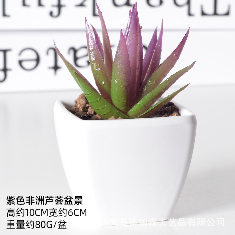 Simulación de plástico carnoso bonsai flor falsa combinación oficina interior escritorio plantas verdes pequeños adornos plantas artificiales al por mayor image 60