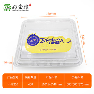 Transparent Supermarket Blueberry Packaging Box Personalized Label 0.5kg Half-Pound Blueberry Pet Plastic Packaging Box