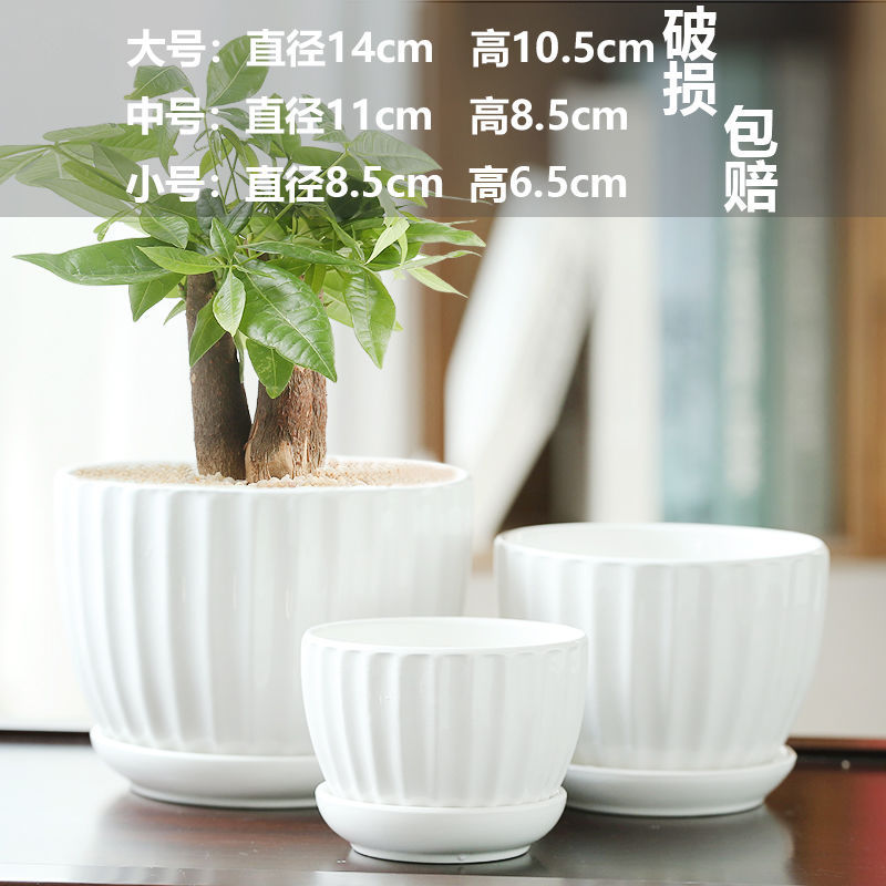 Yangchun Baixue, um grande, médio e pequeno cada um com bandeja de cerâmica / forma