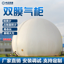 菏泽 双膜储气柜 养殖场家用户外沼气气柜储存发酵大型全套设备