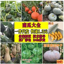 ���N�Ϲϴ�ȫ�ܱ����h�Ϲ�����С�ϹϾGؐؐ�t�����Ϲϼ��߲˷N��