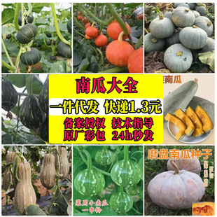 ���N�Ϲϴ�ȫ�ܱ����h�Ϲ�����С�ϹϾGؐؐ�t�����Ϲϼ��߲˷N��