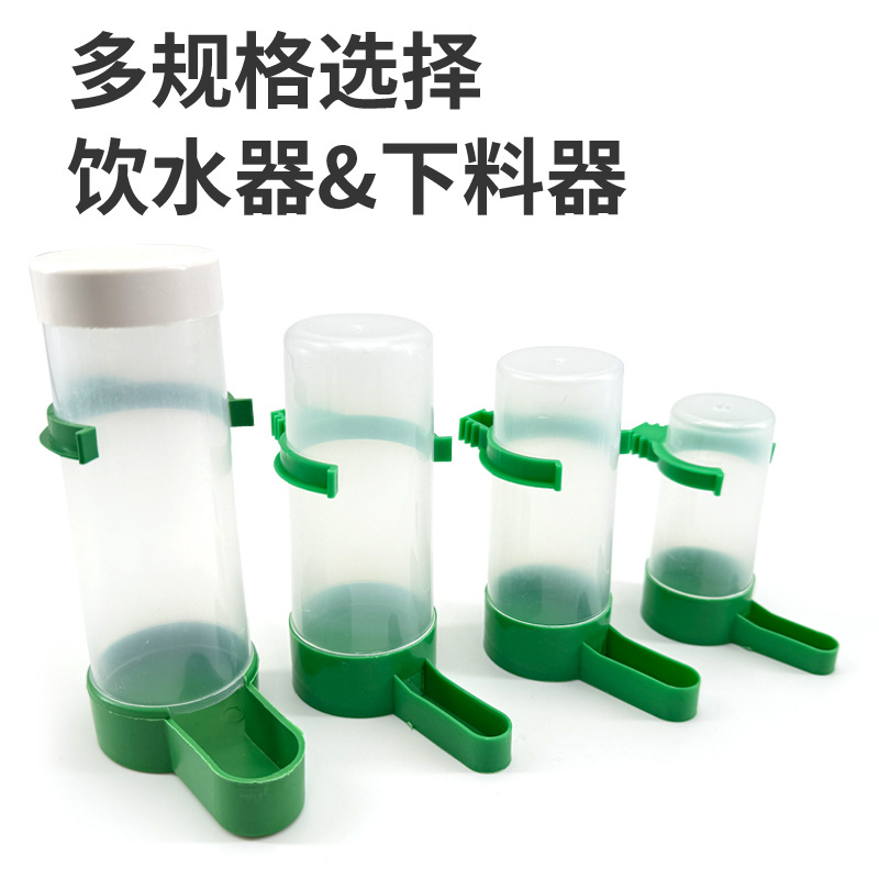 Bird water dispenser, feeder, parrot drinking water, feeding and scattering small pet bird box, fully automatic 4