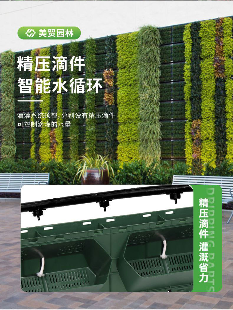 ֲ��ǽ��ֲ��